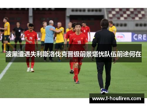 波黑遭遇失利斯洛伐克晋级前景堪忧队伍前途何在
