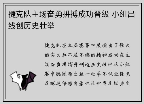 捷克队主场奋勇拼搏成功晋级 小组出线创历史壮举