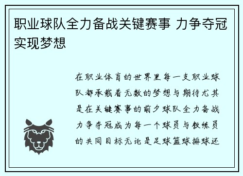 职业球队全力备战关键赛事 力争夺冠实现梦想