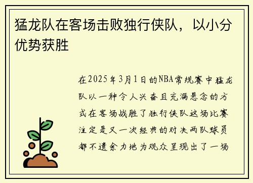 猛龙队在客场击败独行侠队，以小分优势获胜