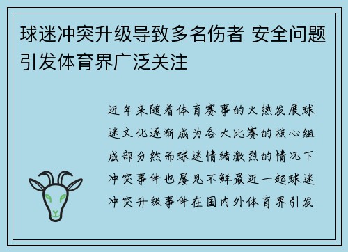 球迷冲突升级导致多名伤者 安全问题引发体育界广泛关注